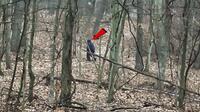 The photo taken in Ohio